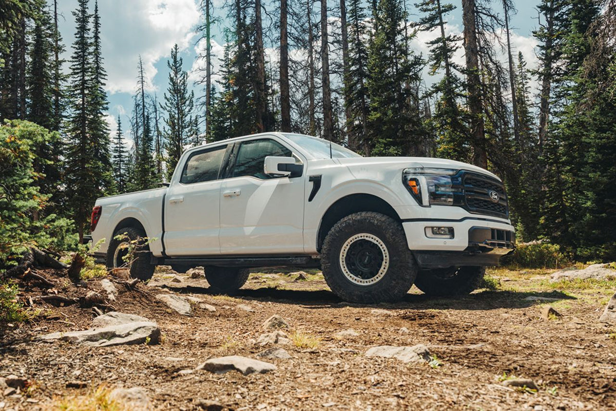 From the Field to the Lens: Meet AVIX Owner Tucker Scott